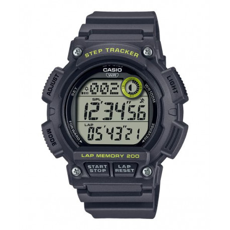 CASIO DIGITALNI WS-2100H-8A