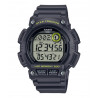CASIO DIGITALNI WS-2100H-8A