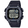 CASIO DIGITALNI DW-291HX-1A