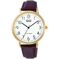 Q&Q C34A-008PY