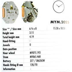 MIYOTA 2025