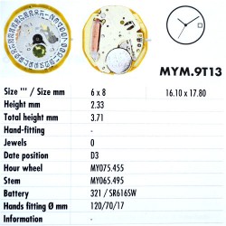 MIYOTA 9T13