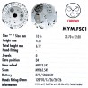 MIYOTA FS01
