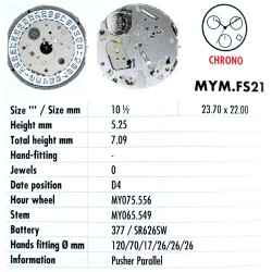 MIYOTA FS21