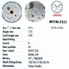 MIYOTA FS21