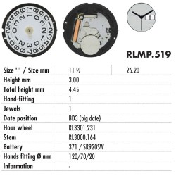 RONDA 519