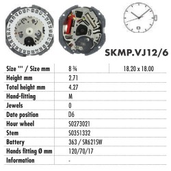 HATTORY VJ12-D6